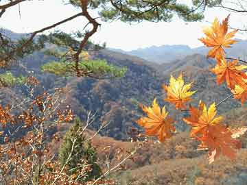 湖北手机号码定位系统（手机号码定位官网）